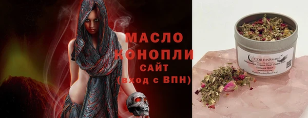 ECSTASY Ельня