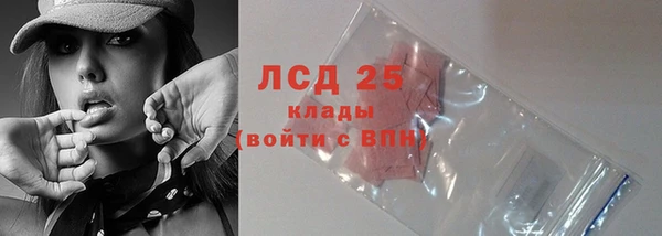 ECSTASY Ельня