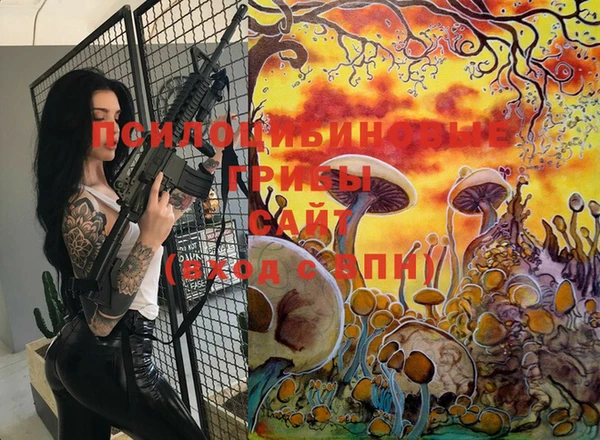 ECSTASY Ельня