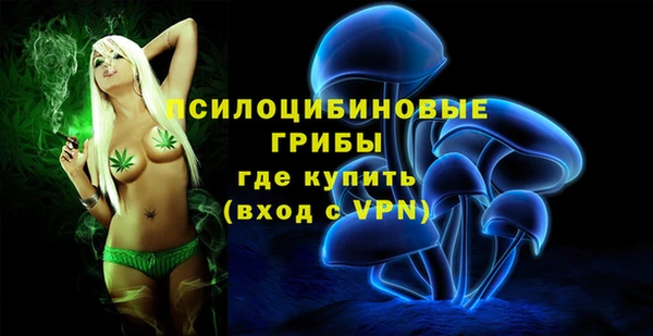 ECSTASY Ельня