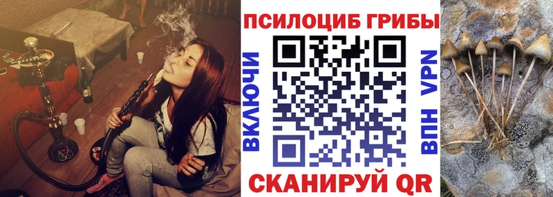 Галлюциногенные грибы мицелий  Купить закладки  Ивангород 